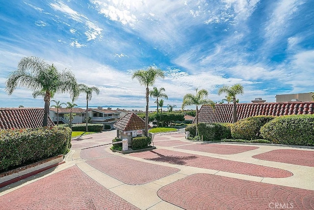2209 W 25th St Unit 7, San Pedro, CA 90732 - view of home's community