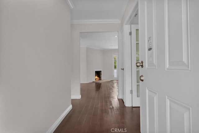 7005 Orion Ave, Van Nuys, CA 91406 - photo 7