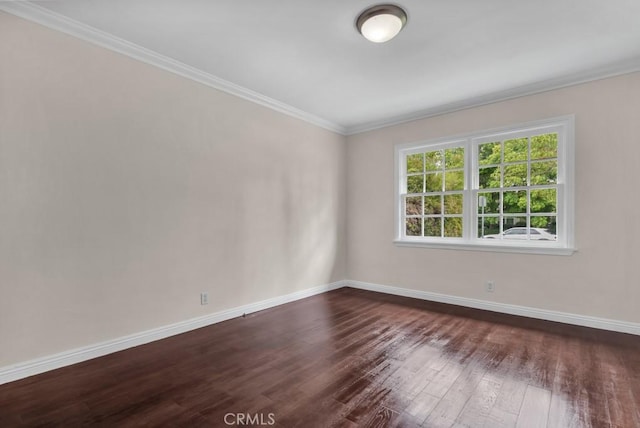 7005 Orion Ave, Van Nuys, CA 91406 - photo 24