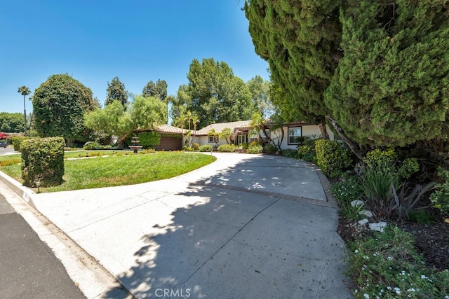 9604 Tunney Ave, Northridge, CA 91324 - ranch-style home featuring a front yard and concrete driveway