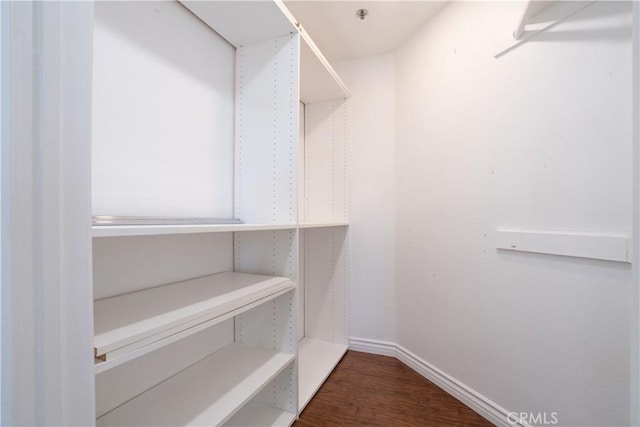 13801 Oxnard St Unit 202, Van Nuys, CA 91401 - walk in closet with wood finished floors