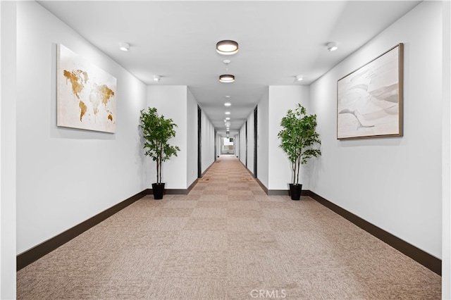709 E Walnut St Unit 227, Pasadena, CA 91101 - corridor with carpet floors and baseboards