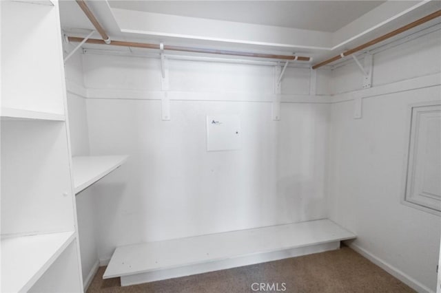 2092 Betsy Ross Ct, Atwater, CA 95301 - walk in closet featuring carpet floors