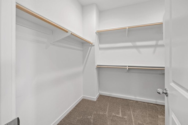 4192 Camino Campana, Oceanside, CA 92057 - walk in closet with carpet flooring