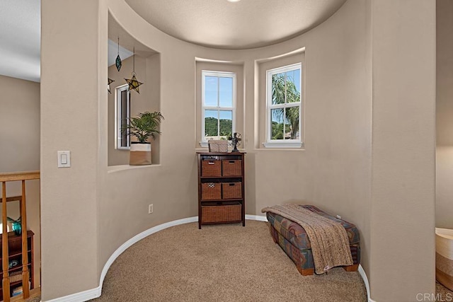 595 S Hidden Trails Rd, Escondido, CA 92027 - living area featuring carpet floors and baseboards