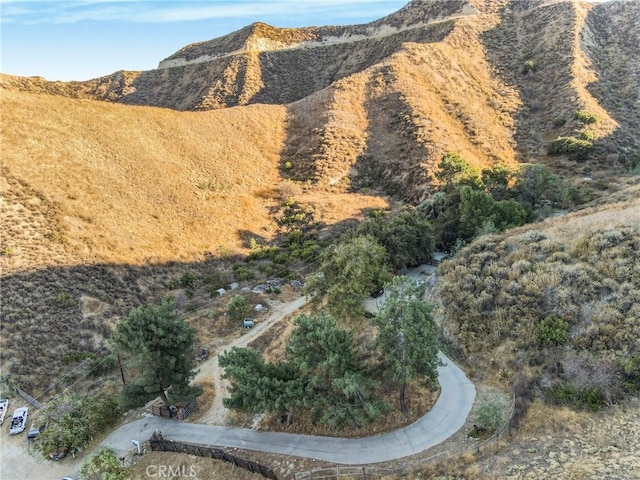 28869 Paradise Rd, Castaic, CA 91384 - view of mountain backdrop