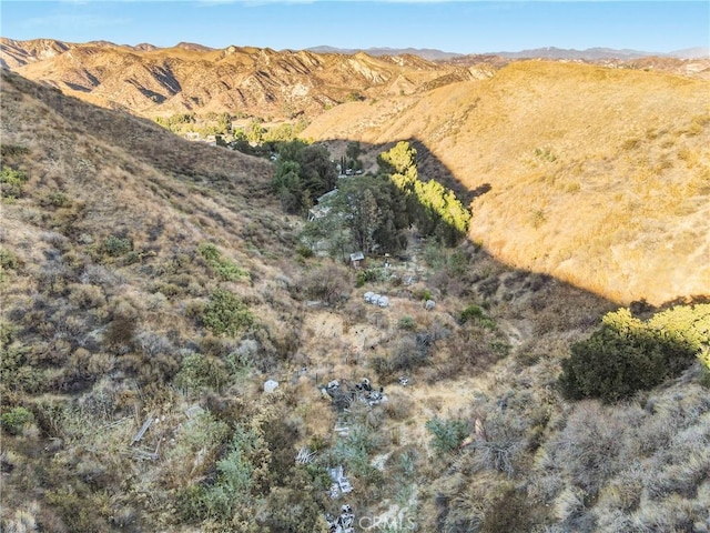 28869 Paradise Rd, Castaic, CA 91384 - view of mountain background