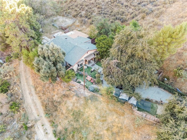 28869 Paradise Rd, Castaic, CA 91384 - aerial view of property and surrounding area