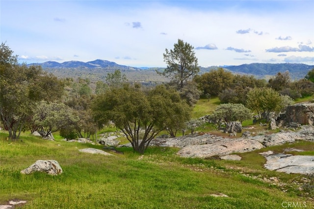31008 Longview Ln E, Coarsegold, CA 93614 - mountain view
