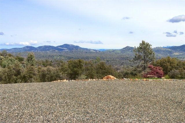 31008 Longview Ln E, Coarsegold, CA 93614 - mountain view