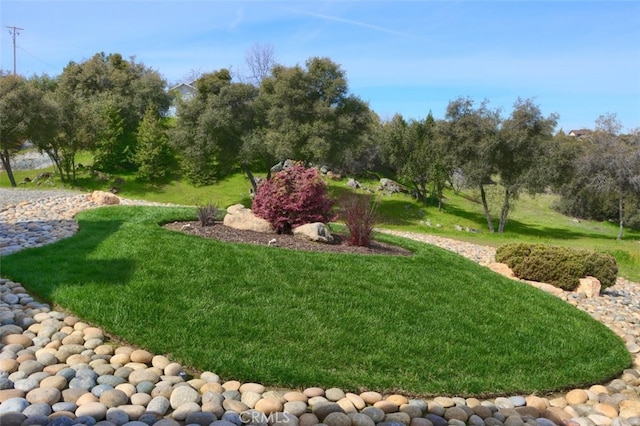 31008 Longview Ln E, Coarsegold, CA 93614 - view of green lawn
