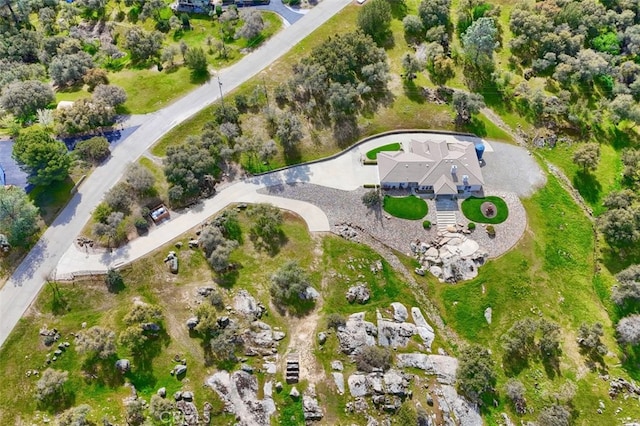 31008 Longview Ln E, Coarsegold, CA 93614 - aerial overview of property's location