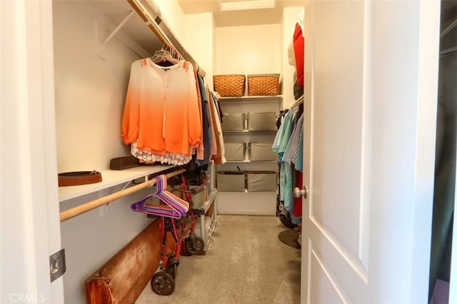 31008 Longview Ln E, Coarsegold, CA 93614 - spacious closet with carpet