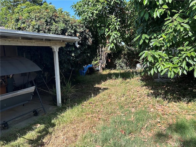 1021 E Gaillard St, Azusa, CA 91702 - view of yard