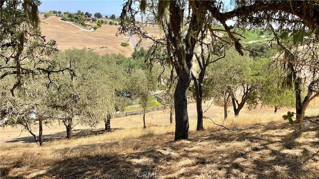 5335 Play Doe Ln, Paso Robles, CA 93446 - view of nature