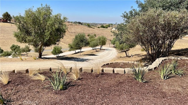 5335 Play Doe Ln, Paso Robles, CA 93446 - view of yard