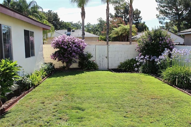 836 N 10th Ave, Upland, CA 91786 - view of yard
