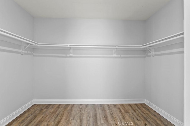 5612 Sprague Ave, Cypress, CA 90630 - walk in closet with wood finished floors