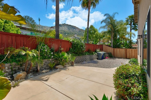 3450 Lake Park Ave, Fallbrook, CA 92028 - fenced backyard featuring a patio area and a mountain view