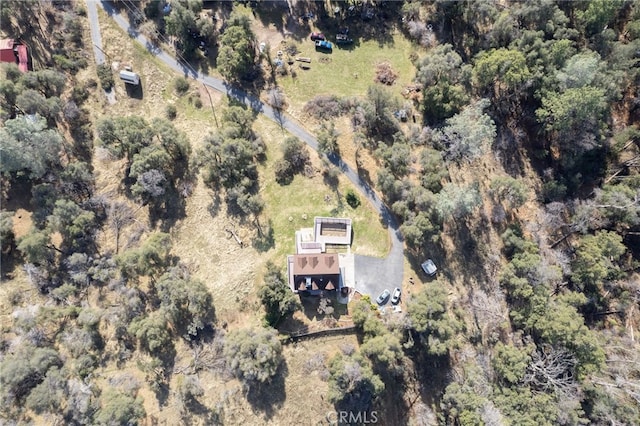 59278 Rd 601, Ahwahnee, CA 93601 - photo 63