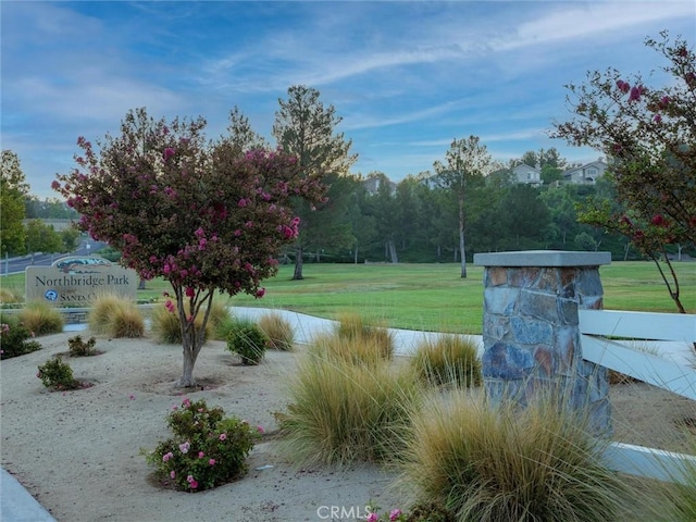 23609 Wilmington Ct, Valencia, CA 91354 - view of grassy yard