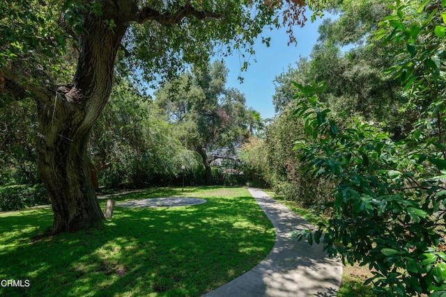 3505 E California Blvd, Pasadena, CA 91107 - view of property's community featuring a lawn