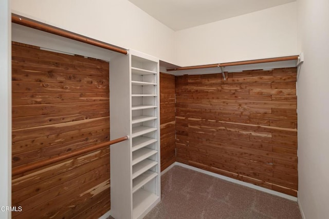 3505 E California Blvd, Pasadena, CA 91107 - spacious closet featuring carpet floors
