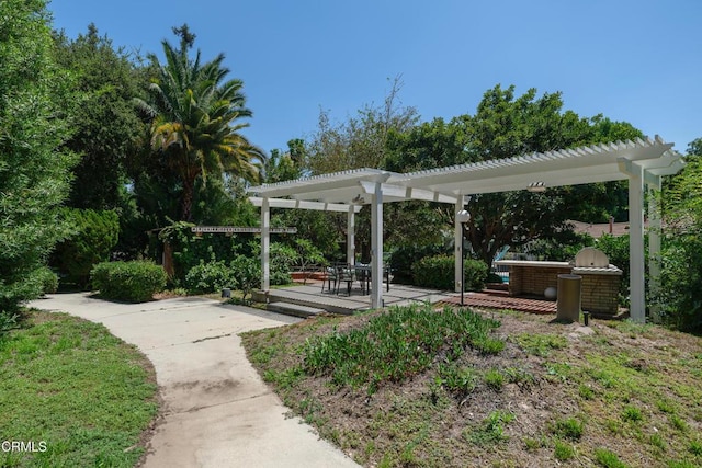 3505 E California Blvd, Pasadena, CA 91107 - view of yard featuring a pergola