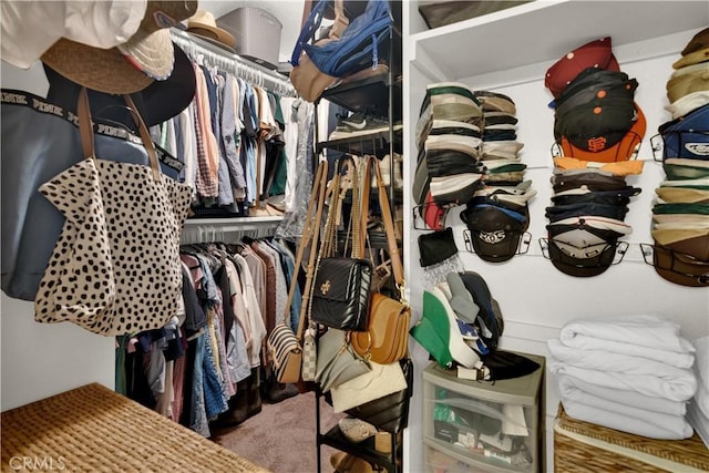 139 Flag Way Unit C, Paso Robles, CA 93446 - view of walk in closet