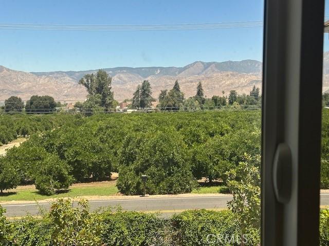 1902 E Citrus Ave, Redlands, CA 92374 - view of mountain backdrop