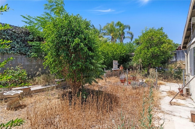 932 Redwood Ct, Corona, CA 92879 - view of yard