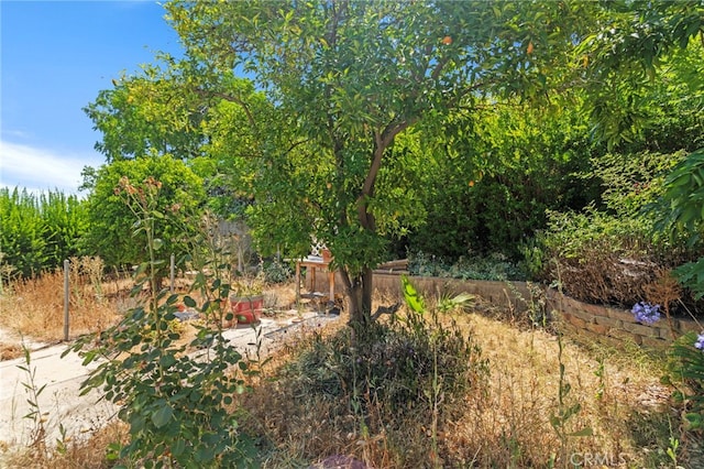 932 Redwood Ct, Corona, CA 92879 - view of yard