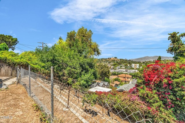 4127 Scandia Way, Los Angeles, CA 90065 - view of yard
