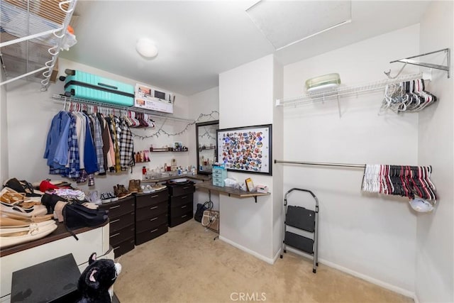 26 Billings Ave, Beaumont, CA 92223 - walk in closet with light colored carpet and attic access