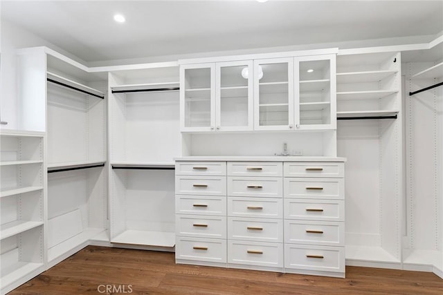 1831 Newport Hills Dr E, Newport Beach, CA 92660 - walk in closet featuring dark wood-style flooring