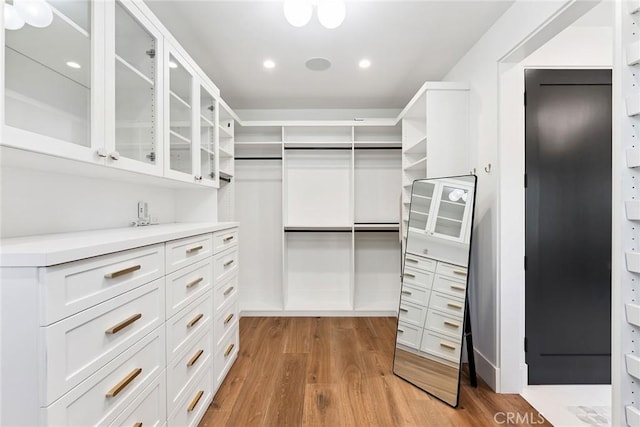 1831 Newport Hills Dr E, Newport Beach, CA 92660 - spacious closet with light wood-type flooring