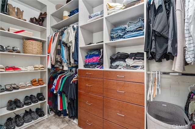 8234 Traveller St, Chino, CA 91710 - view of spacious closet
