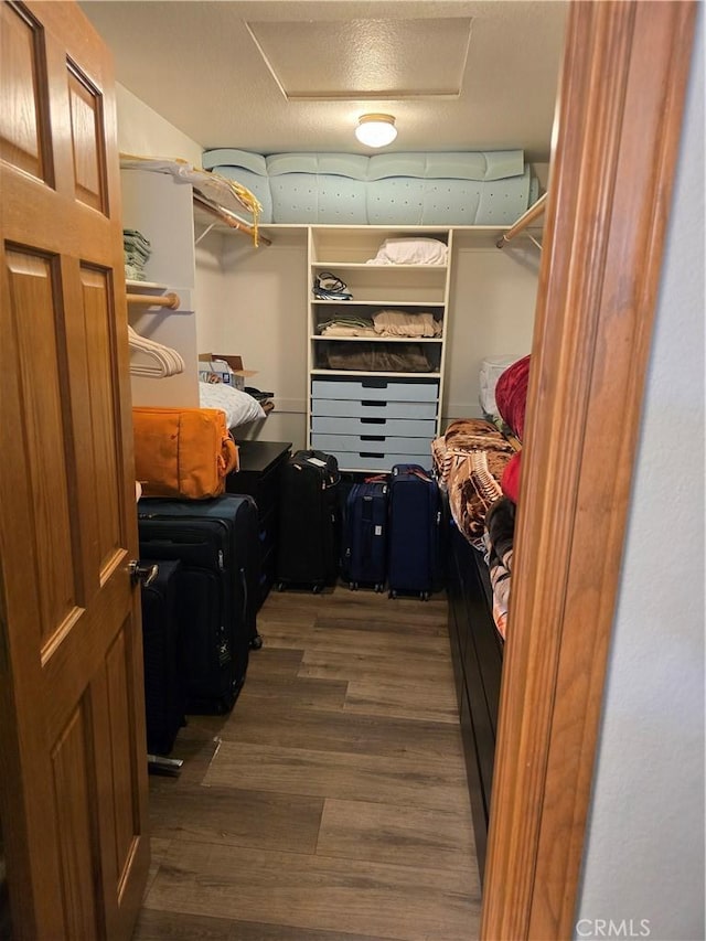 41653 62nd St W, Palmdale, CA 93551 - walk in closet with attic access and wood finished floors