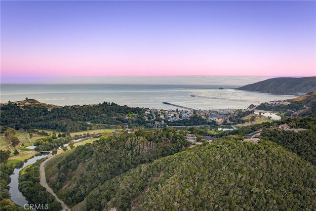 6362 Coffeeberry Ct, Avila Beach, CA 93424 - water view