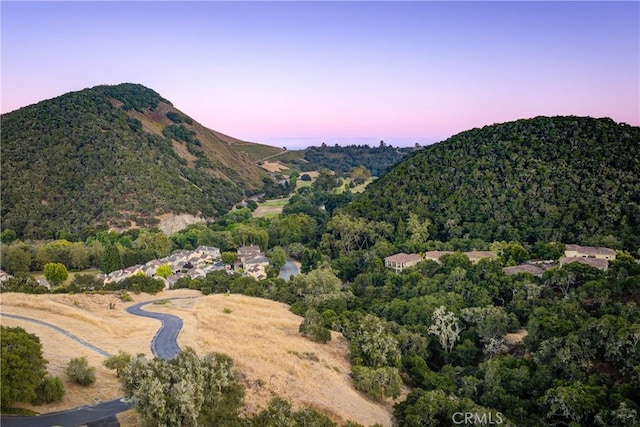 6362 Coffeeberry Ct, Avila Beach, CA 93424 - mountain view