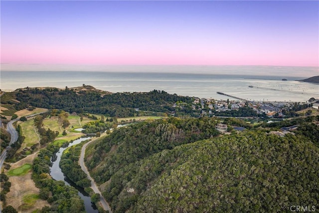 6362 Coffeeberry Ct, Avila Beach, CA 93424 - aerial view at dusk of a water view