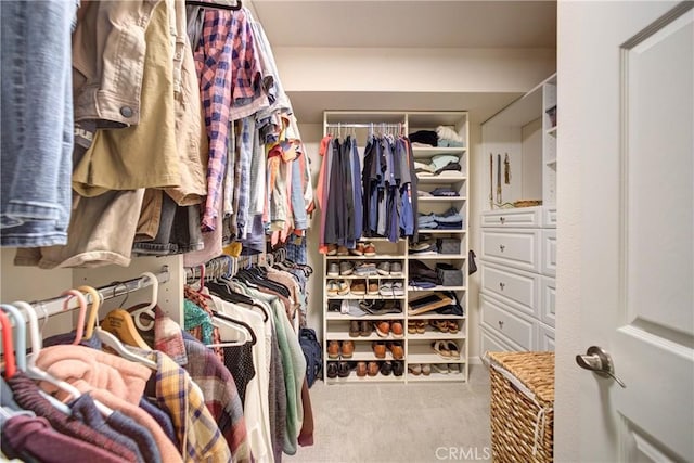 6362 Coffeeberry Ct, Avila Beach, CA 93424 - spacious closet with carpet flooring