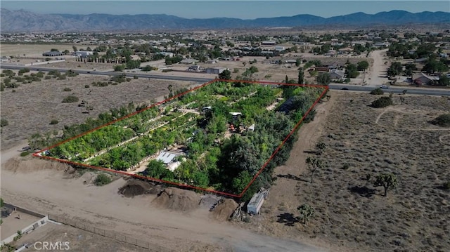 13874 Ranchero Rd, Oak Hills, CA 92344