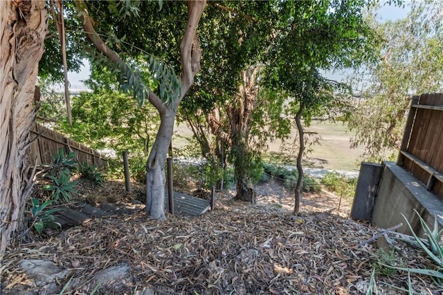 976 N Loma Vista Dr, Long Beach, CA 90813 - view of yard