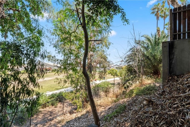 976 N Loma Vista Dr, Long Beach, CA 90813 - view of yard
