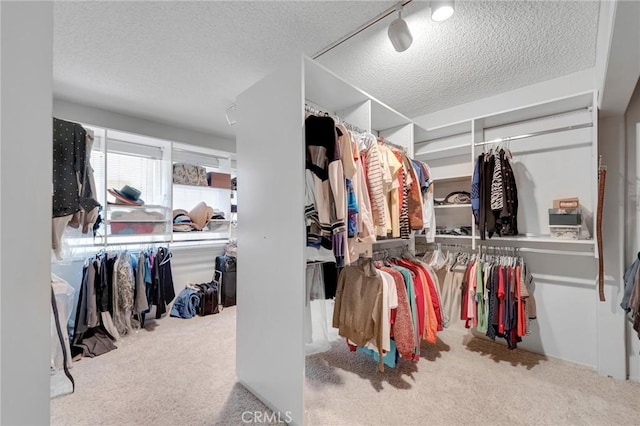 10020 Wystone Ave, Northridge, CA 91324 - walk in closet featuring carpet