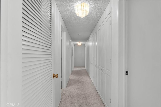 10020 Wystone Ave, Northridge, CA 91324 - hall with light carpet and a textured ceiling