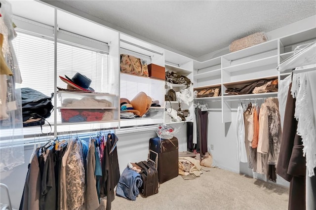 10020 Wystone Ave, Northridge, CA 91324 - walk in closet with carpet flooring