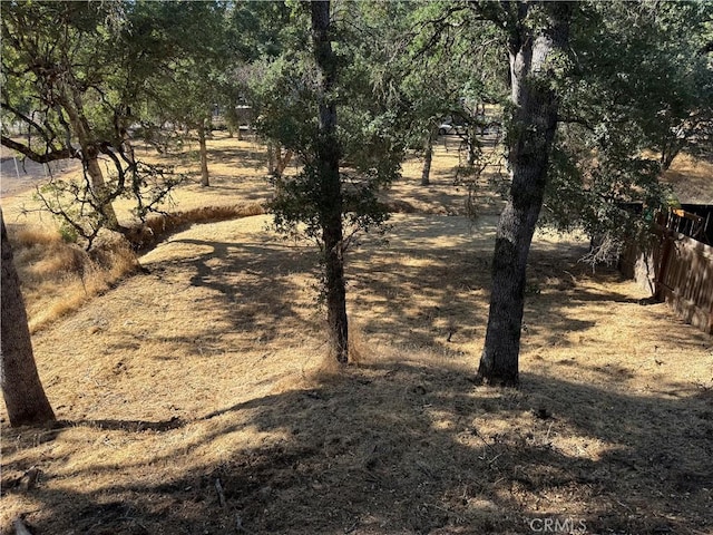 16238 35th Ave, Clearlake, CA 95422 - view of nature