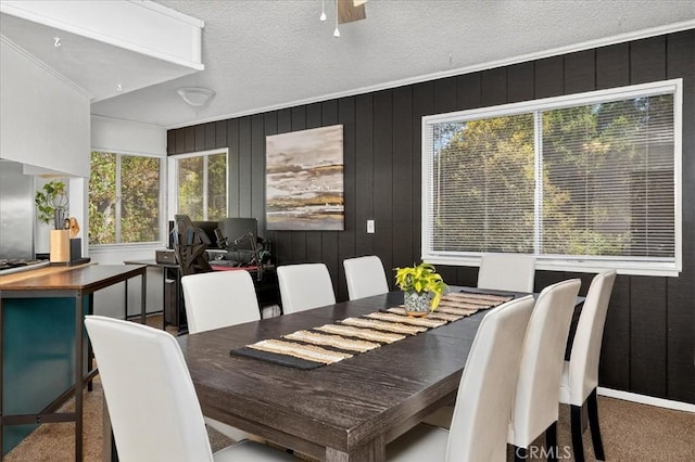 5566 Darrah Rd, Mariposa, CA 95338 - carpeted dining room with healthy amount of natural light